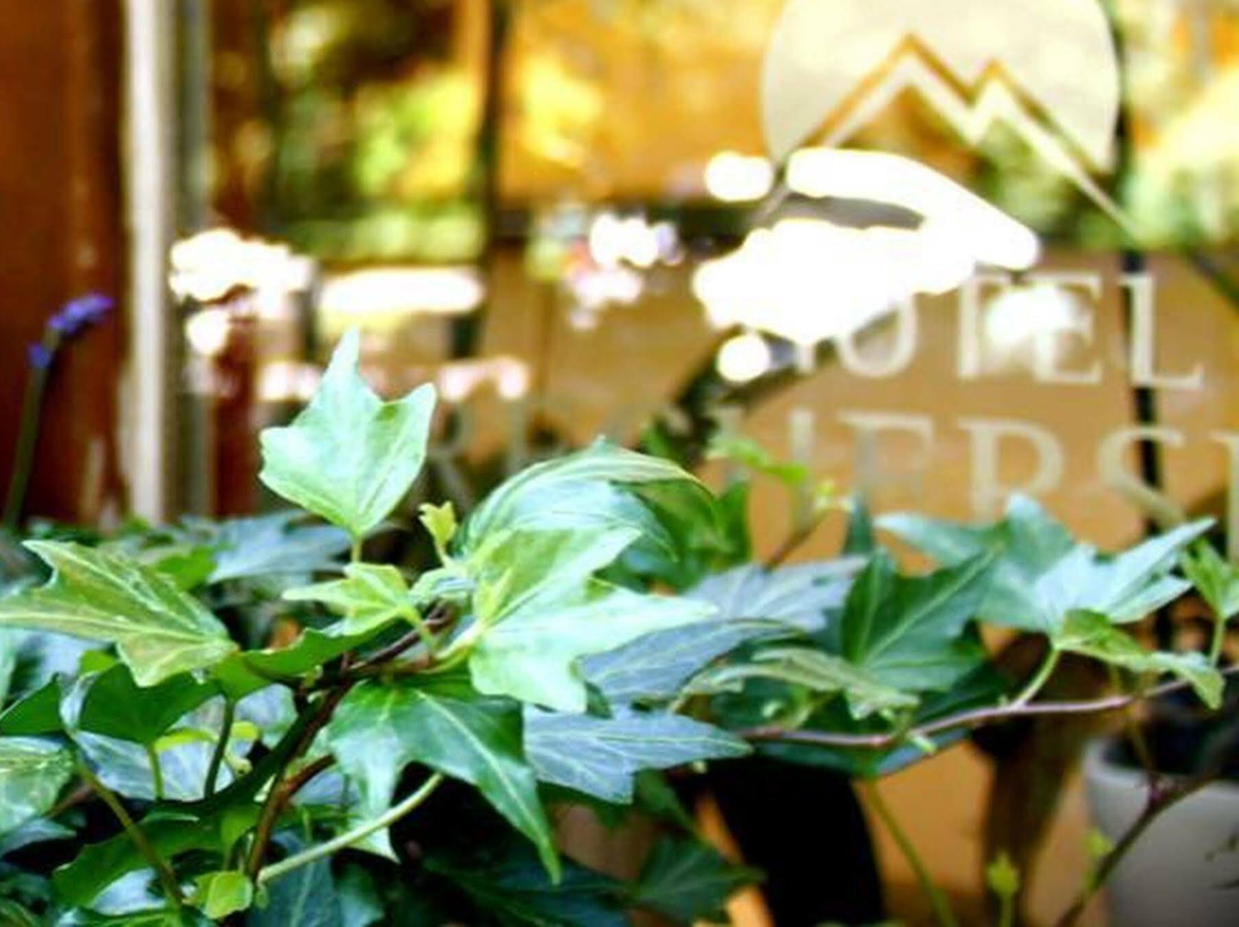 Hotel Brecherspitze Munchen Bagian luar foto